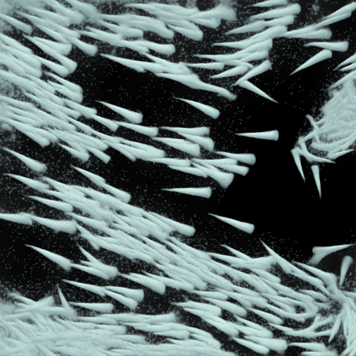 Across datasets target 1