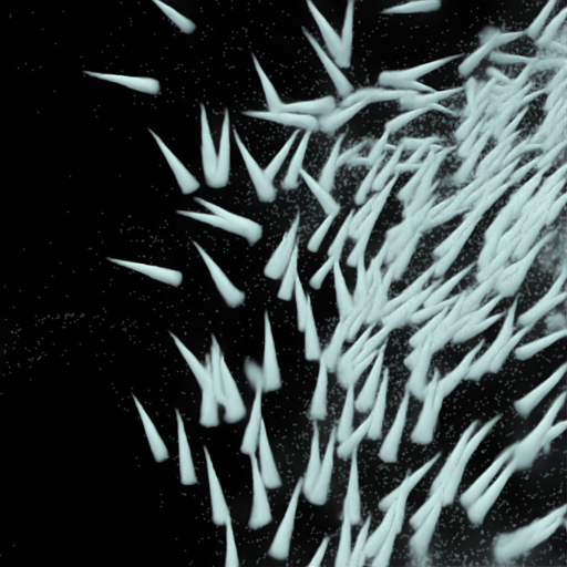 Across datasets target 2